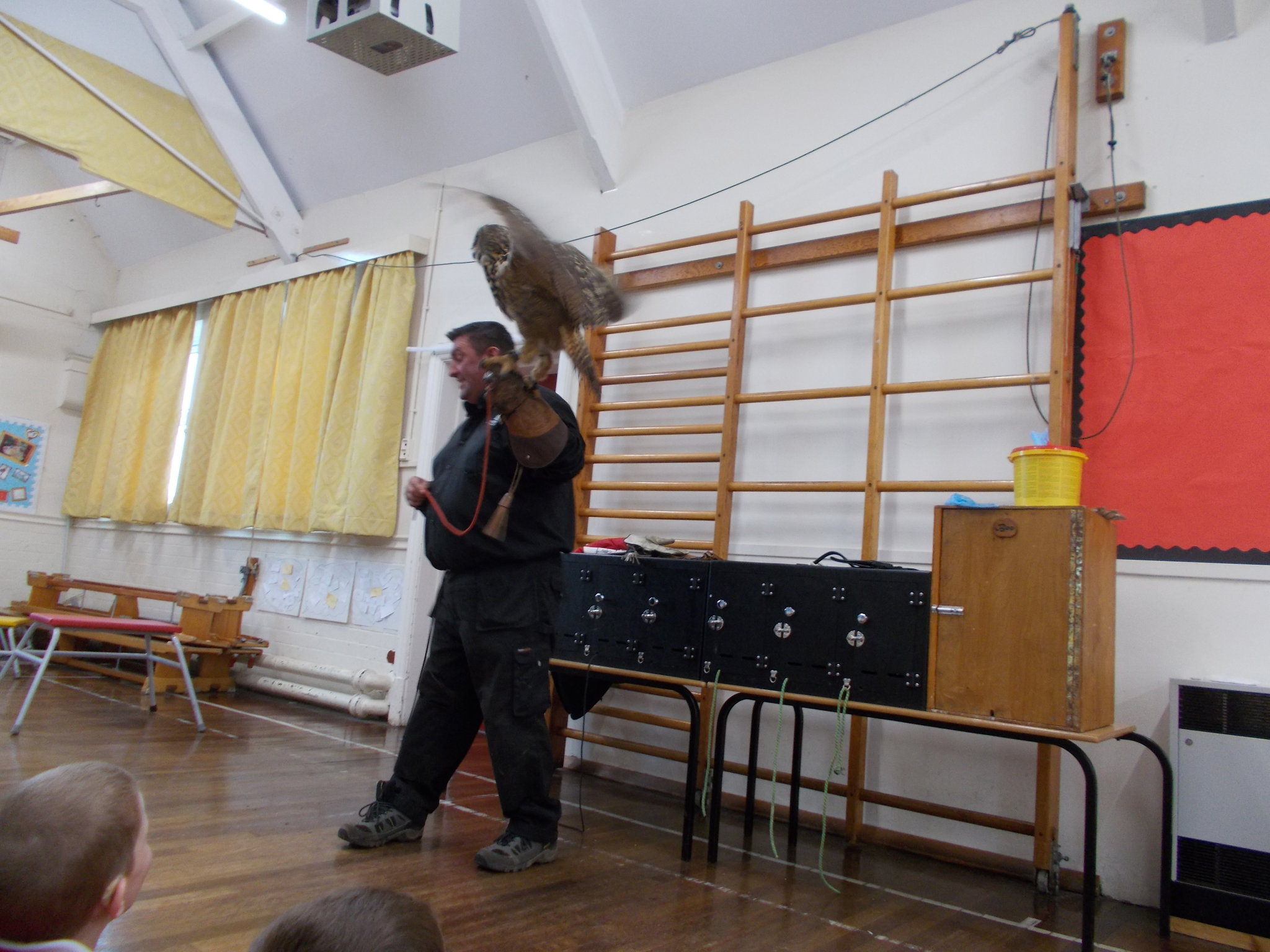 Image of The Owl man!
